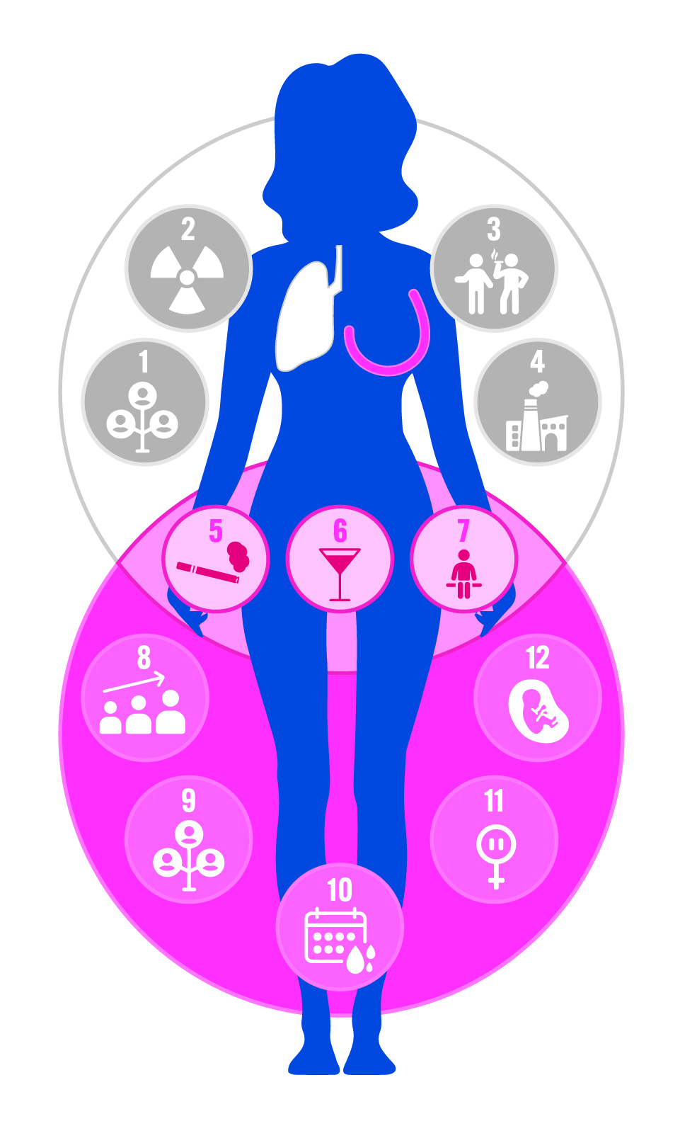 Lung and Breast Cancer Venn Diagram